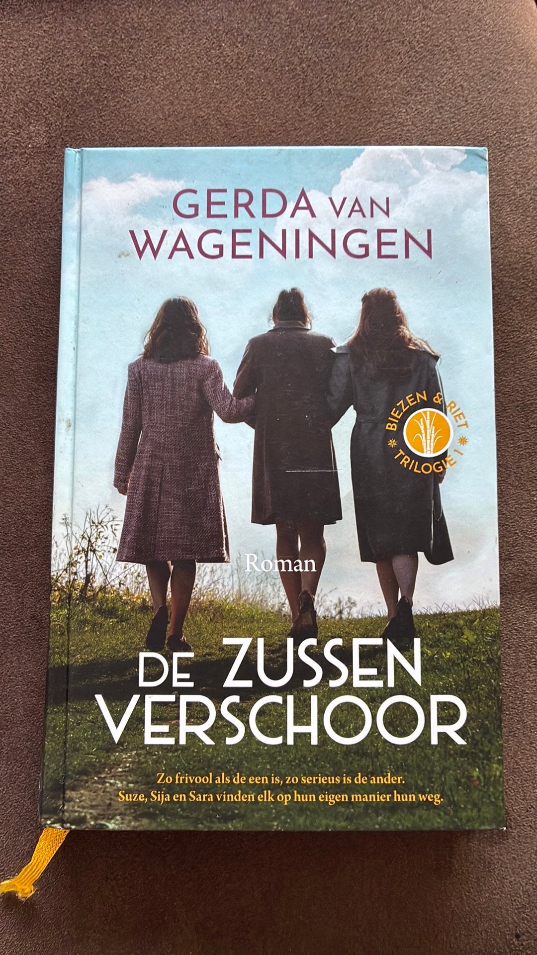 Gerda van Wageningen - De zussen Verschoor, Boeken, Gerda van Wageningen, Noord-Brabant, Ophalen of Verzenden, Zo goed als nieuw