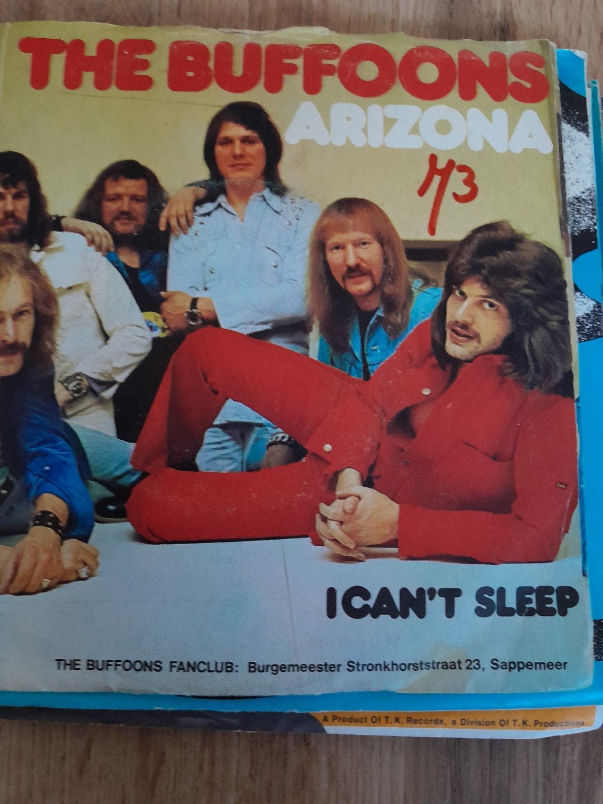 The buffoons 7inch Arizona, Cd's en Dvd's, Ophalen of Verzenden, Zo goed als nieuw, Pop