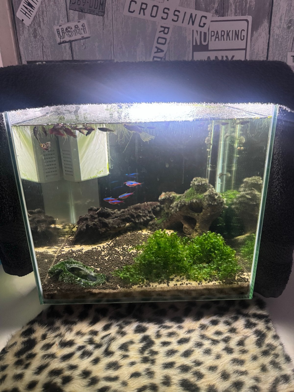 Aquarium, Dieren en Toebehoren, Vissen | Aquaria en Toebehoren, Ophalen, Zo goed als nieuw, Leeg aquarium