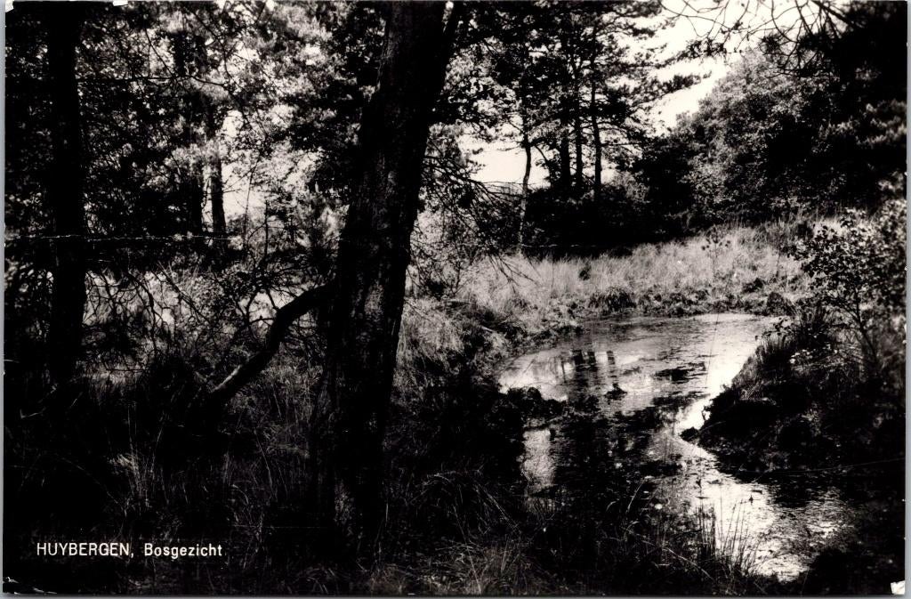 Huijbergen - Bosgezicht, Verzamelen, Verzenden, 1960 tot 1980, Gelopen, Noord-Brabant
