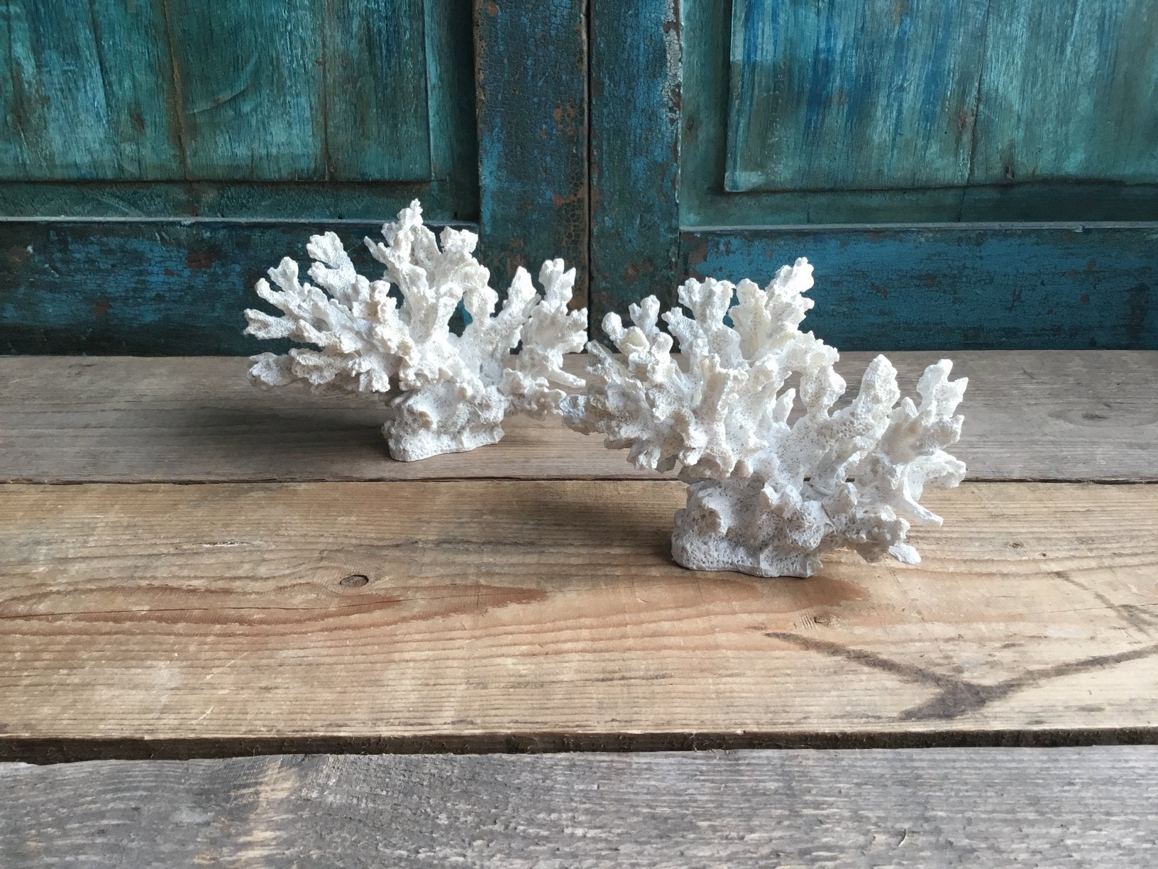 Kunst koraal wit, Ophalen of Verzenden, Nieuw