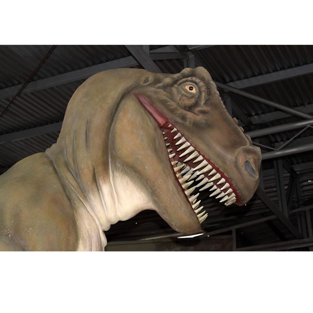 T-REX 14 meter lang - levensgrote Tyrannosaurus rex beeld, Ophalen, Nieuw, Overige typen