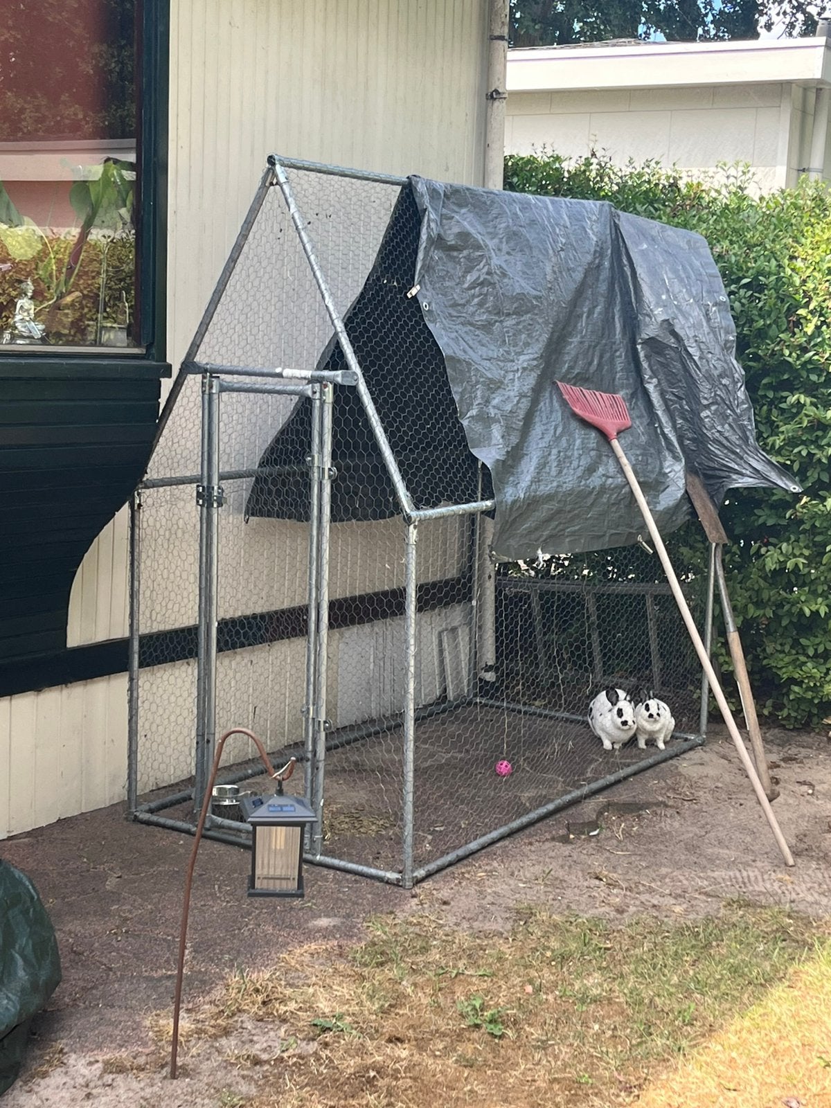 Ren, Ophalen, Zo goed als nieuw, Kippenhok of Kippenren
