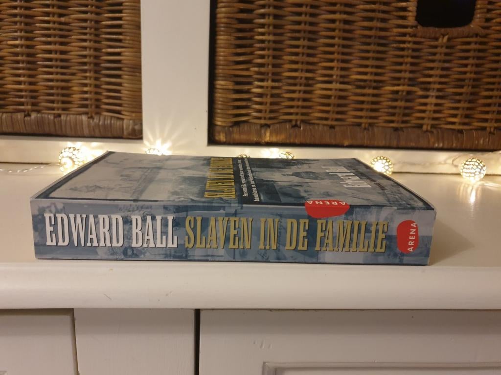 Edward Ball - Slaven in de familie, Ophalen of Verzenden, Gelezen