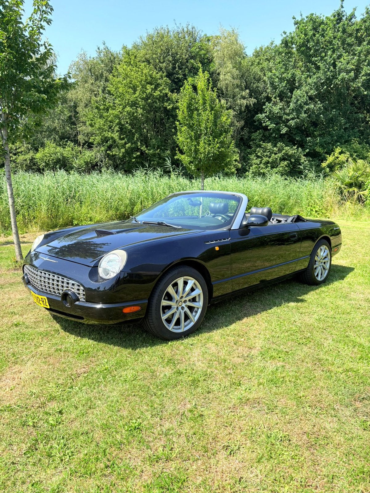 Ford Thunderbird 2002, Automaat, Lederen bekleding, Achterwielaandrijving, 3900 cc