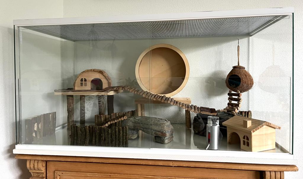 Queenies hamster terrarium 100x50x50 met veel hamsterspullen, Zo goed als nieuw, 75 tot 110 cm, Ophalen, Minder dan 60 cm
