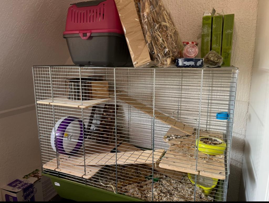 Hamsterkooien en spullen, Kooi, Minder dan 75 cm, Hamster, Ophalen
