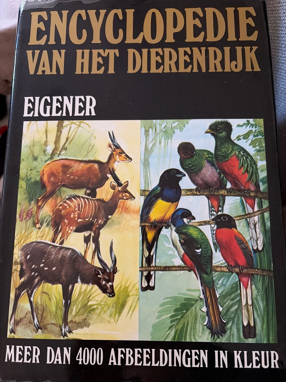Encyclopedie van het Dierenrijk - Meer dan 4000 afbeeldingen, Boeken, Encyclopedieën, Ophalen of Verzenden, Gelezen, Dieren, Los deel