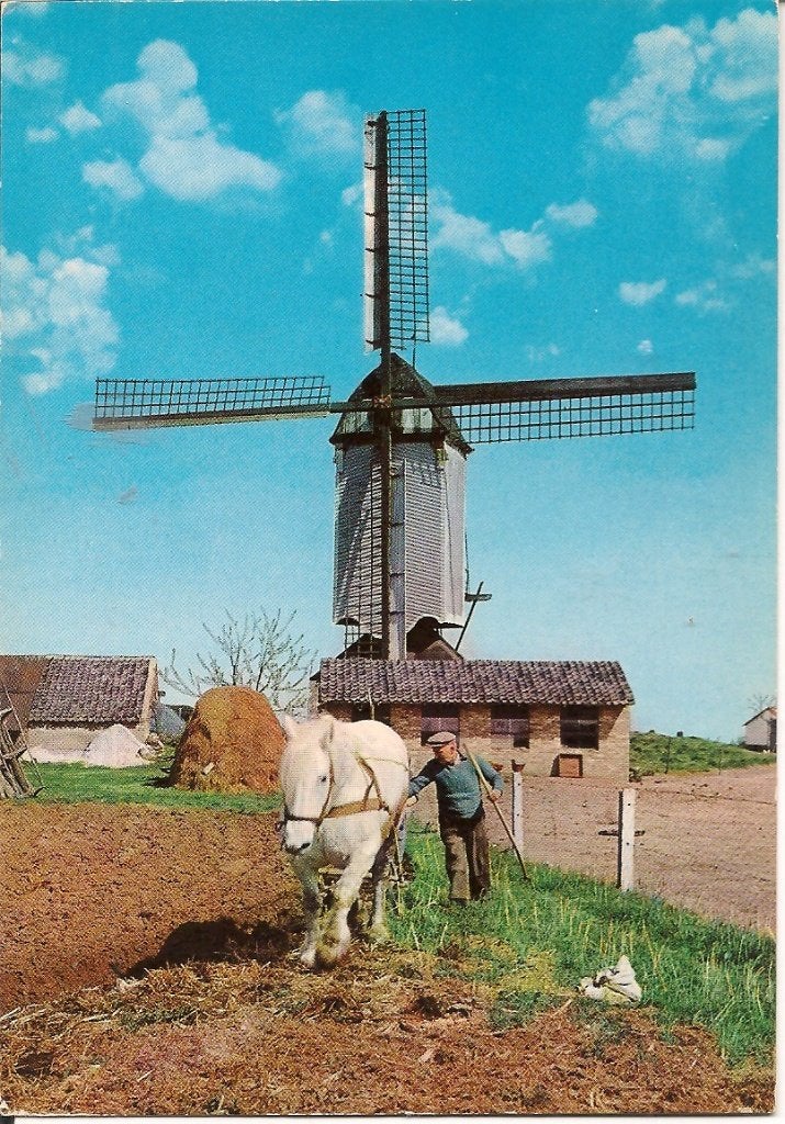 Oude ansichtkaart: Molen en ploegende boer met paard, Ophalen of Verzenden, 1960 tot 1980, Ongelopen, Zuid-Holland