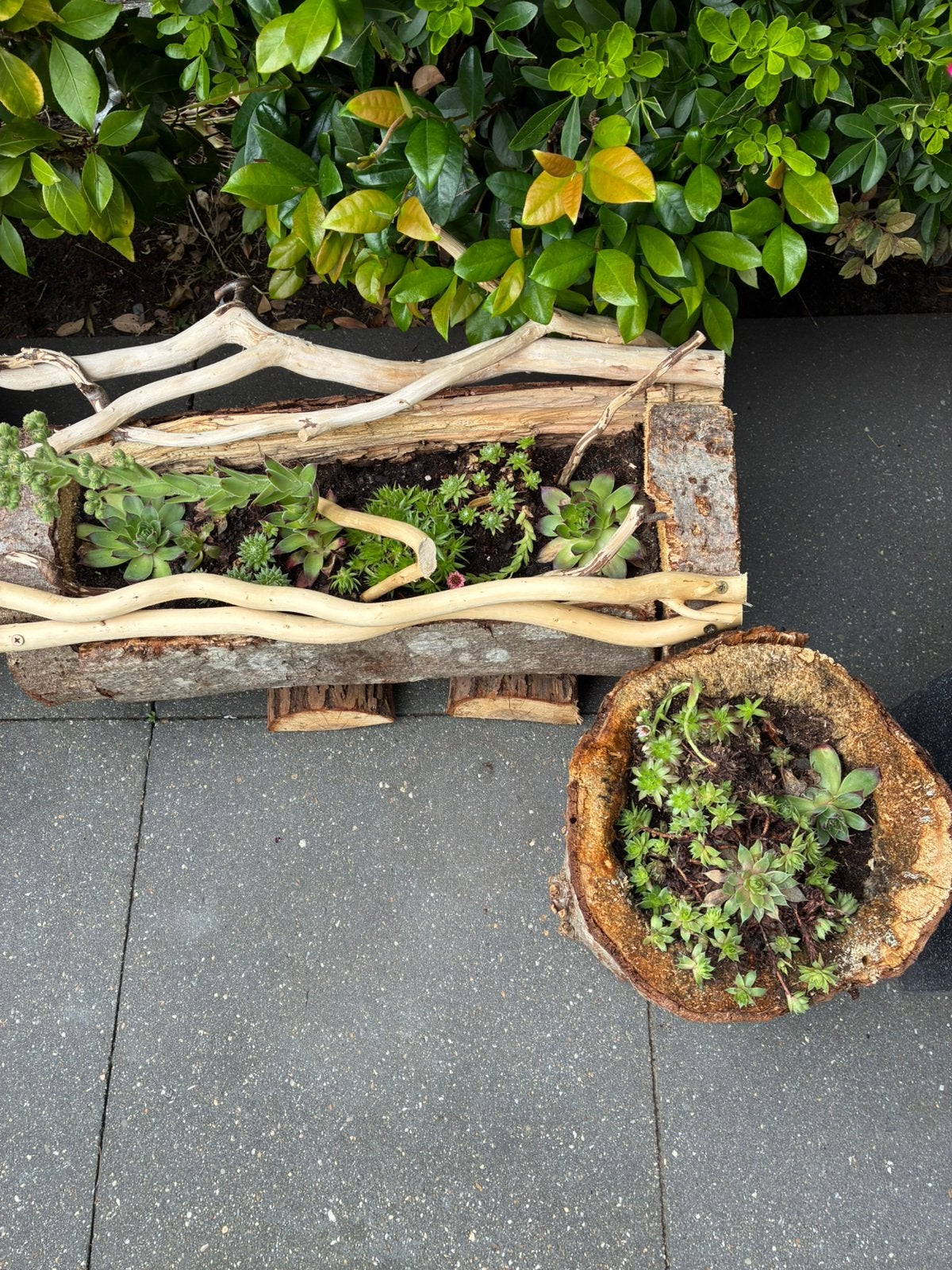 Houtstammen met vetplanten erin, Ophalen of Verzenden, Zo goed als nieuw, Rond, Minder dan 30 cm