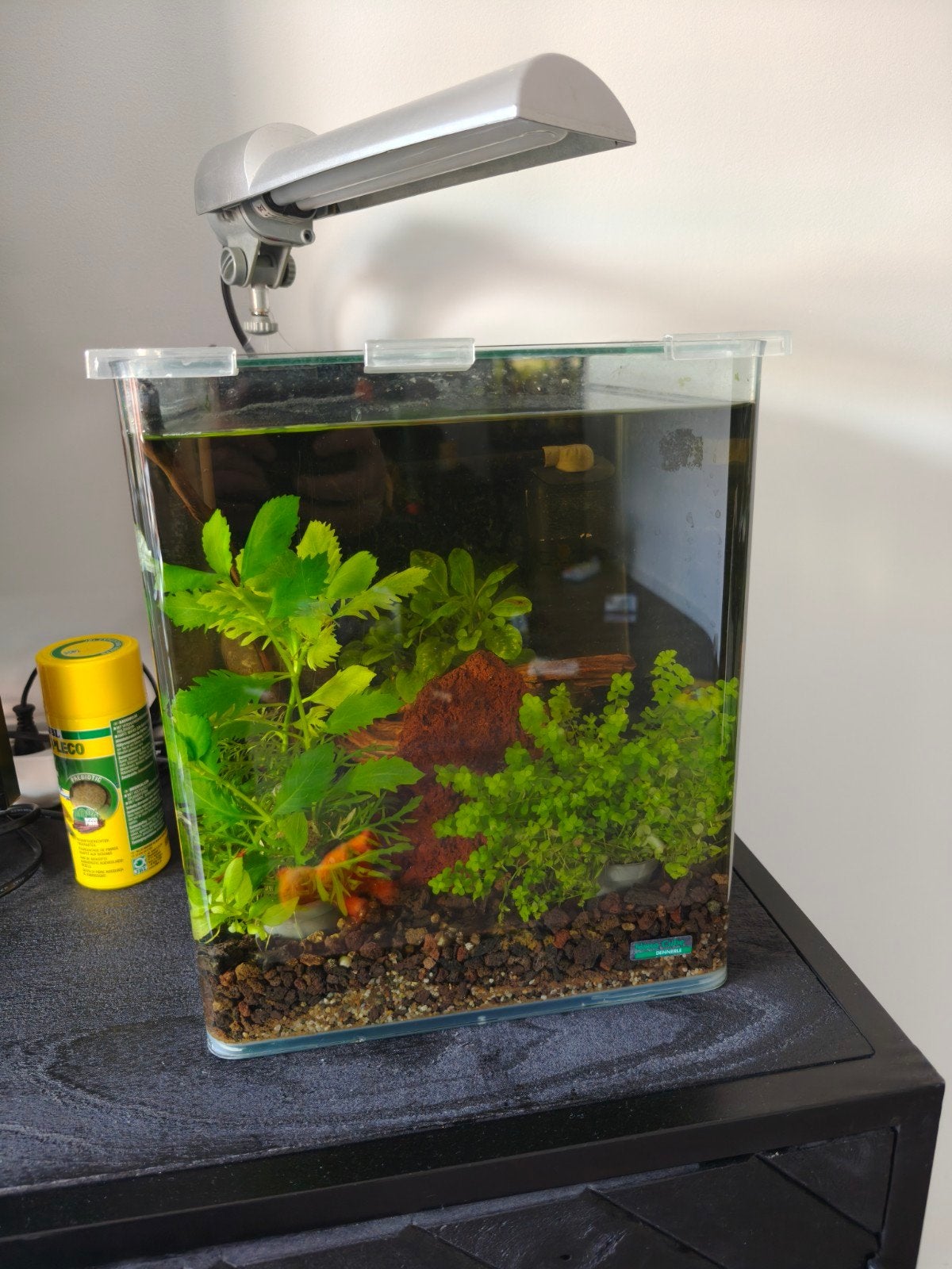 Aquarium met lamp, pomp en luchtpomp, Nano Cube Dennerle, Ophalen, Dennerle, Zo goed als nieuw, Leeg aquarium