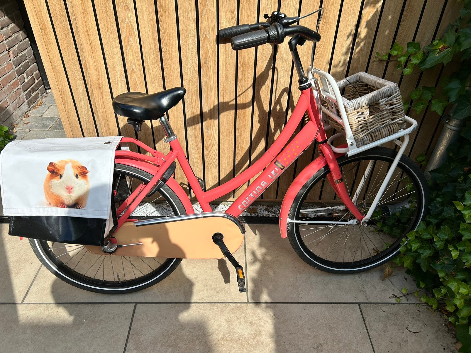 Cortina meisjesfiets Transport 24 inch met fietstas, Fietsen en Brommers, Fietsen | Meisjes, Ophalen, Terugtraprem, Versnellingen