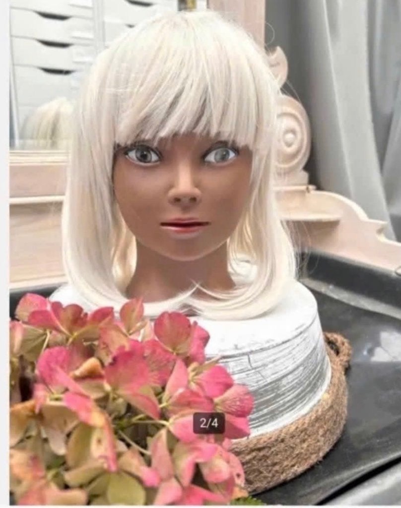 Mannequin Hoofd met Pruik - Prachtig - beide nieuw, Antiek en Kunst, Ophalen of Verzenden