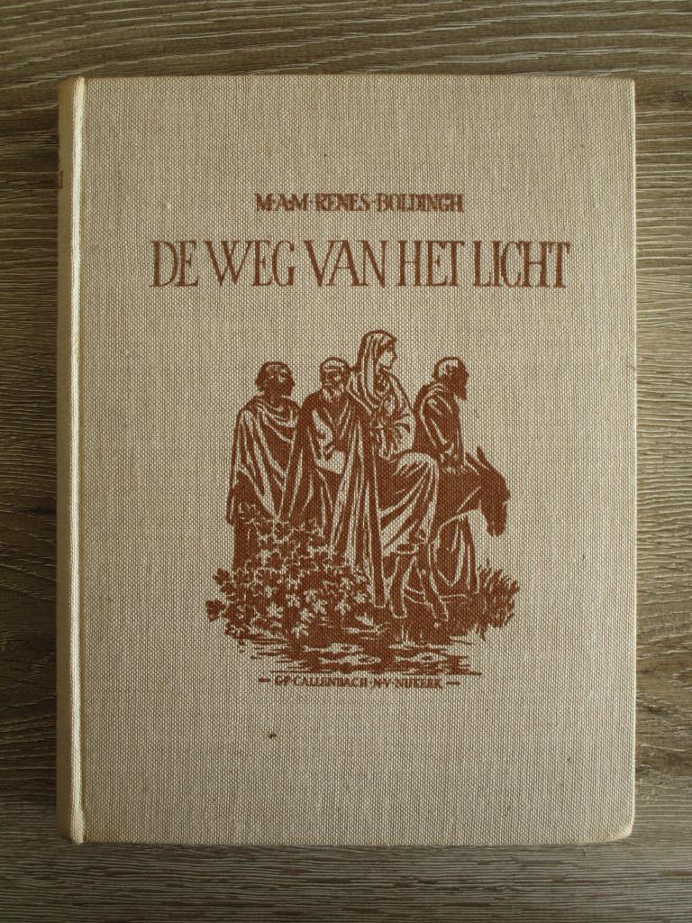 De weg van het licht - M.A.M. Renes Boldingh, Boeken, Ophalen of Verzenden, Gelezen