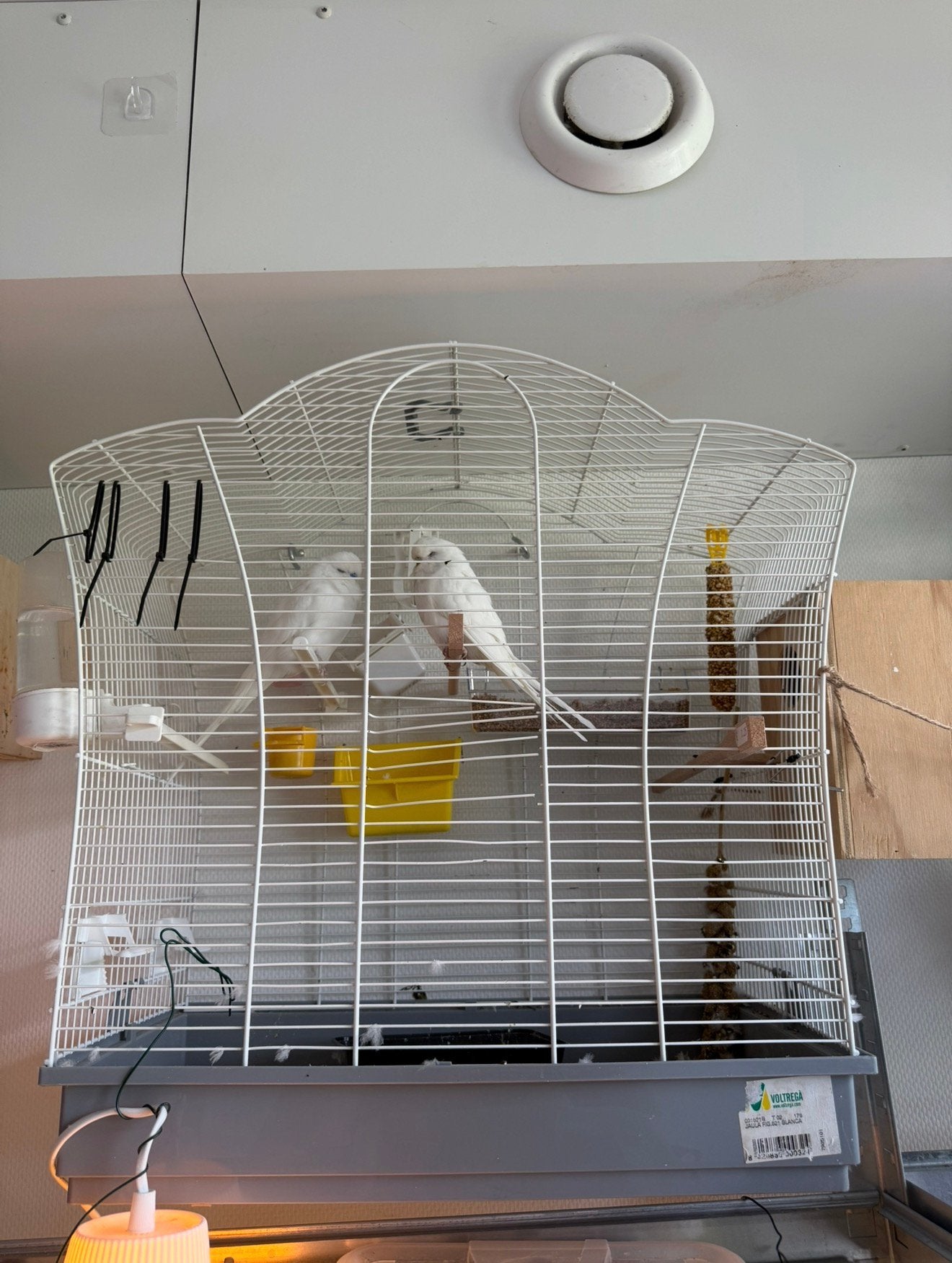 Witte Vogelkooi, Dieren en Toebehoren, Parkiet