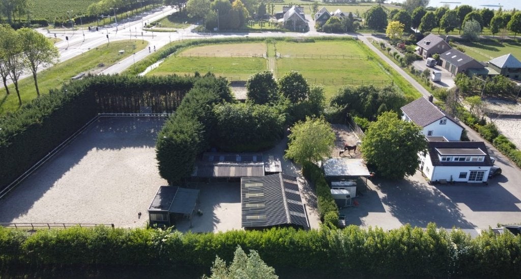 Buitenstal, Weidegang, 1 paard of pony