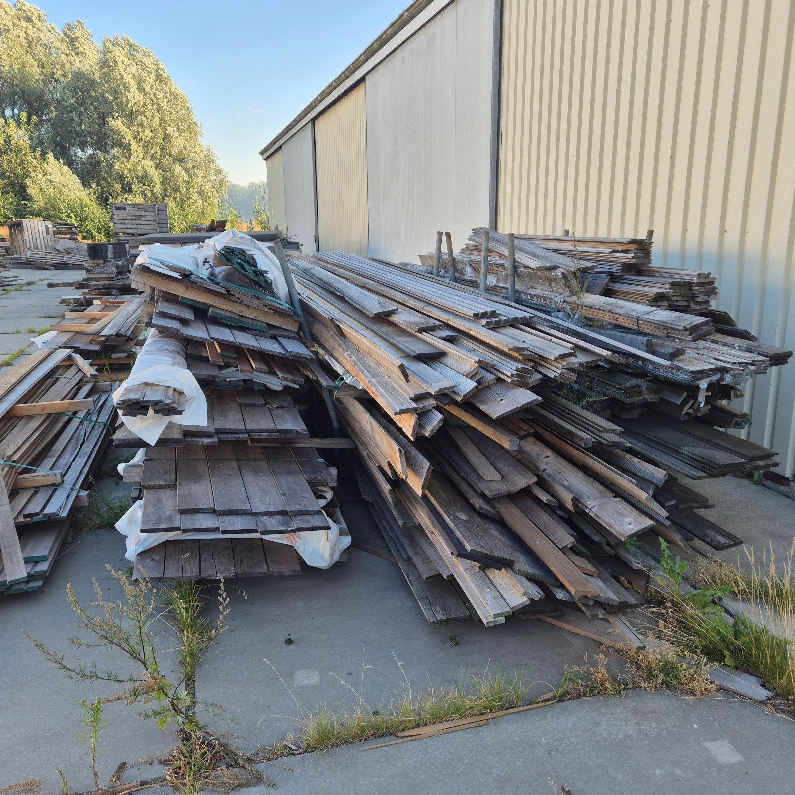 Enorme partij brandhout: Thermo Vuren gevelbekleding, Doe-het-zelf en Verbouw, Hout en Planken, Ophalen
