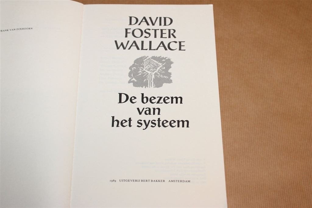 De Bezem van het Systeem — David Foster Wallace, Bakker 1989, Boeken, Ophalen of Verzenden, Gelezen