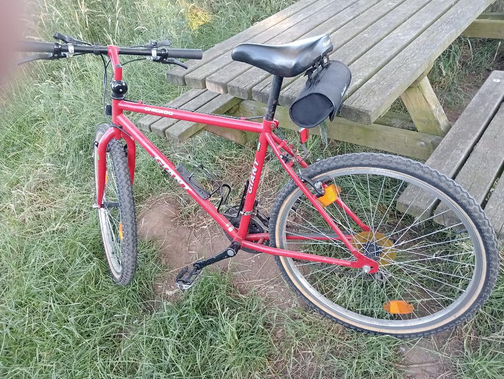 Mountainbike, Ophalen, Velgrem, Giant, Zo goed als nieuw