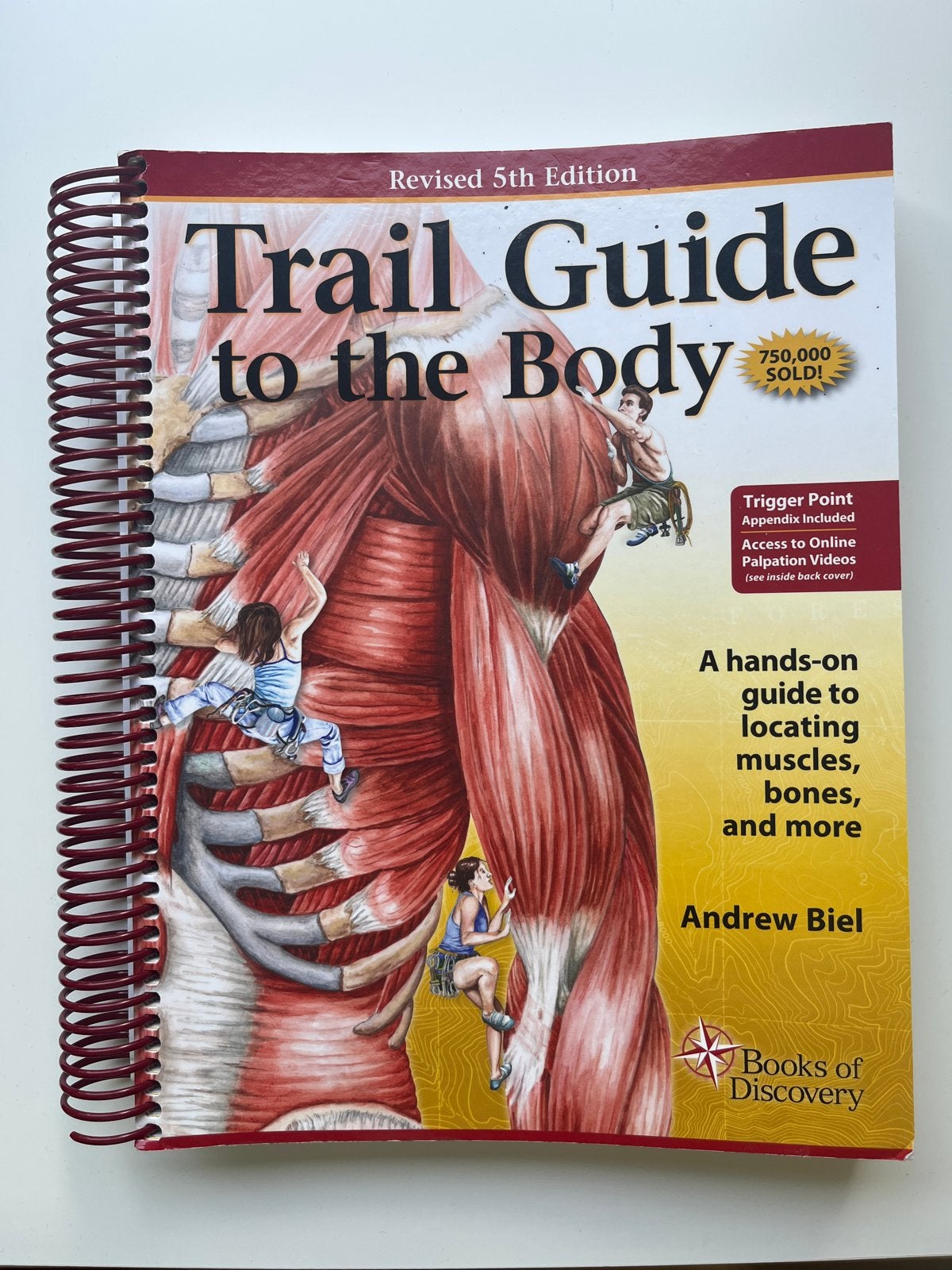 Trail Guide to the Body - Anatomie en Palpatie Gids, Ophalen of Verzenden, Zo goed als nieuw, Gezondheid en Conditie