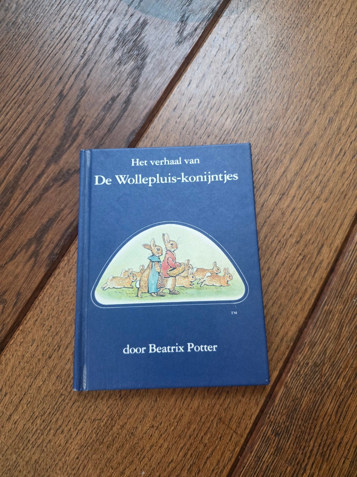 Het verhaal van De Wollepluis-konijntjes - Kinderboekje, Boeken, Ophalen of Verzenden, Zo goed als nieuw
