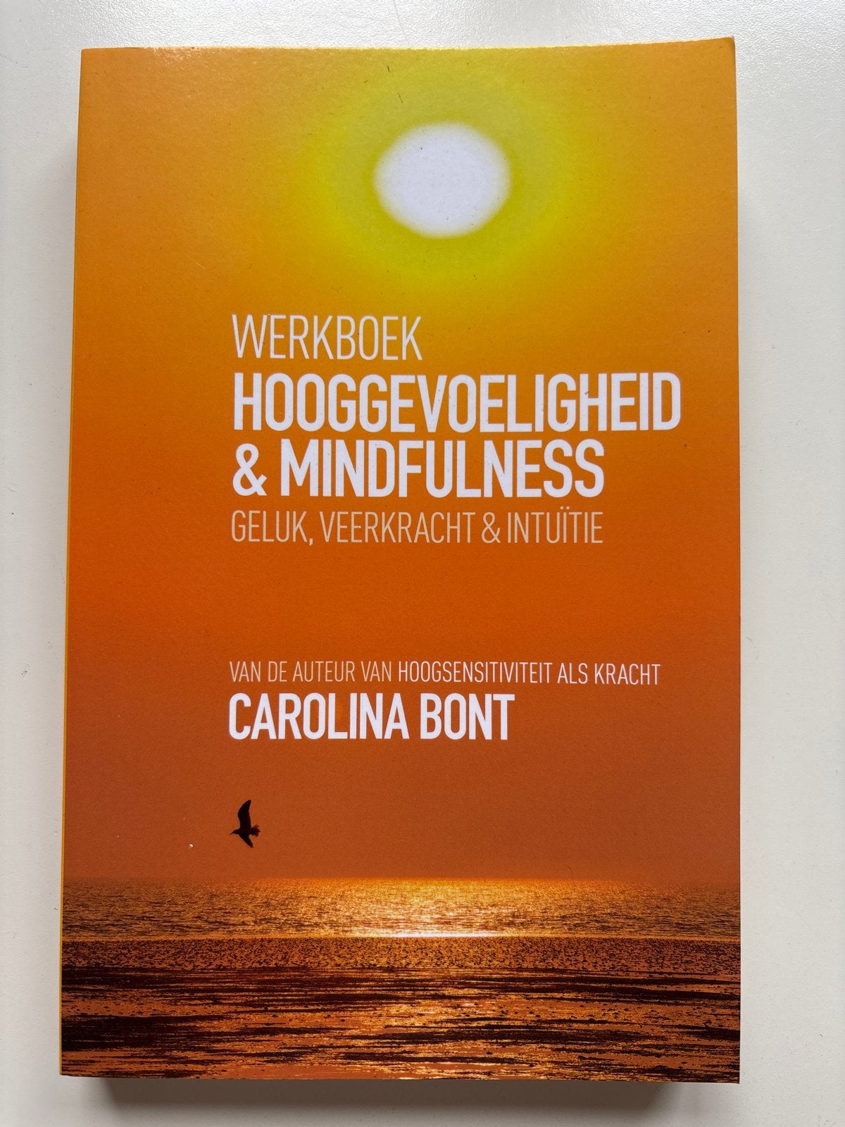 Werkboek Hooggevoeligheid & Mindfulness Carolina Bont, Ophalen of Verzenden, Zo goed als nieuw, Meditatie of Yoga, Instructieboek