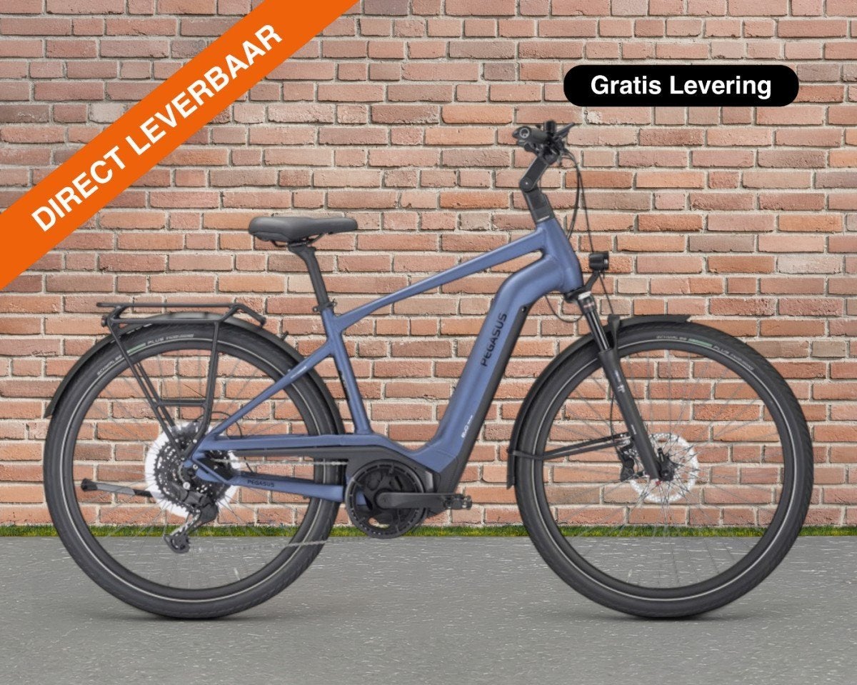 Pegasus Strong Evo 10 Lite, 625 Wh Heren Adviesprijs: € 4699