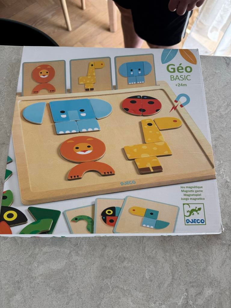 Djeco Géo Basic Magnetisch Spel - Educatief Speelgoed, Ophalen of Verzenden, Zo goed als nieuw, Overige typen