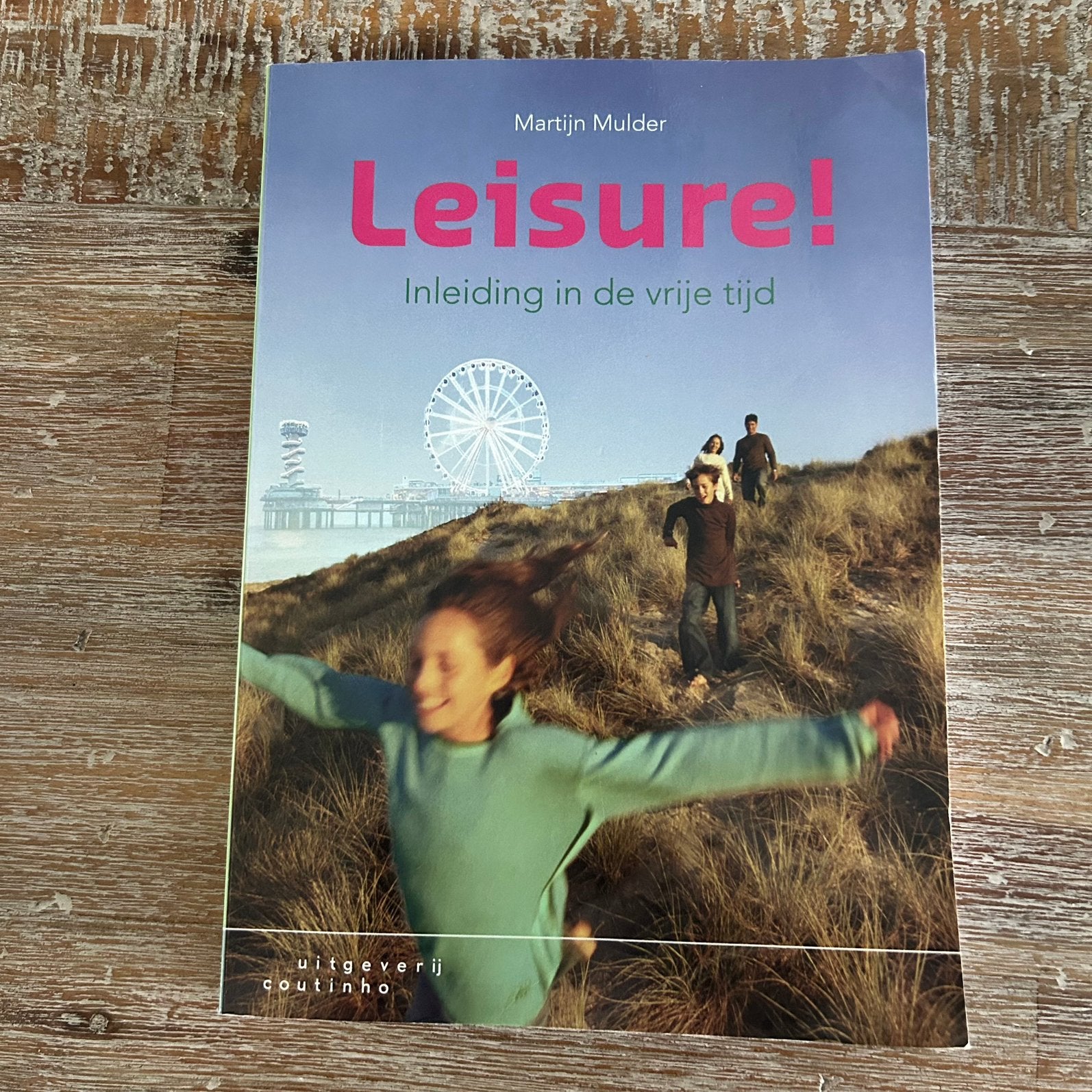 Martijn Mulder - Leisure!, Sociale wetenschap, Ophalen of Verzenden, Zo goed als nieuw, Martijn Mulder