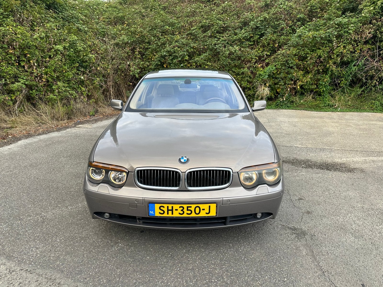 BMW 7-Serie 4.4 745I AUT 2003 Grijs, Auto's, BMW, Automaat, Achterwielaandrijving, Bruin, Particulier