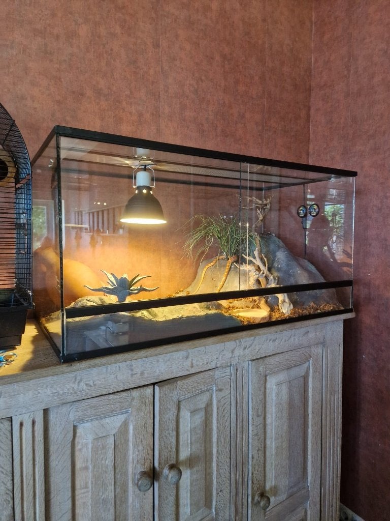 Ingericht terrarium met slangen, Dieren en Toebehoren, Reptielen en Amfibieën | Toebehoren, Ophalen, Gebruikt, Terrarium of Paludarium