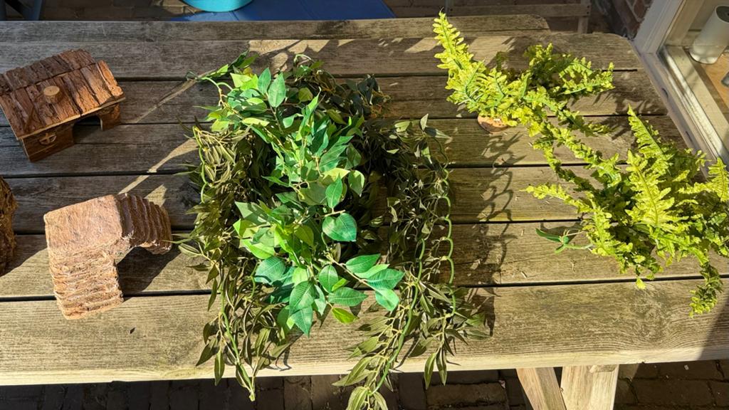 Terrarium toebehoren, Ophalen of Verzenden, Gebruikt, Tak, Plant, Rots of Steen