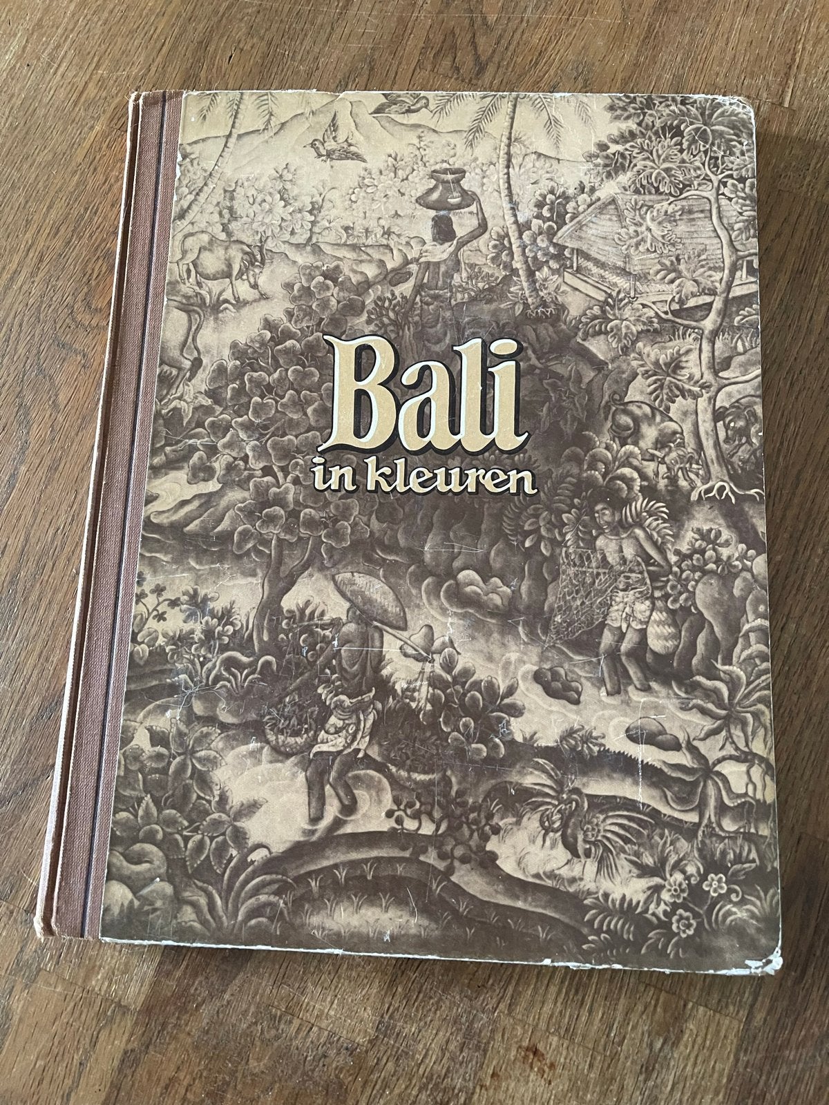 Bali in kleuren - Prachtig geïllustreerd boek, Ophalen of Verzenden, Gelezen, Azië