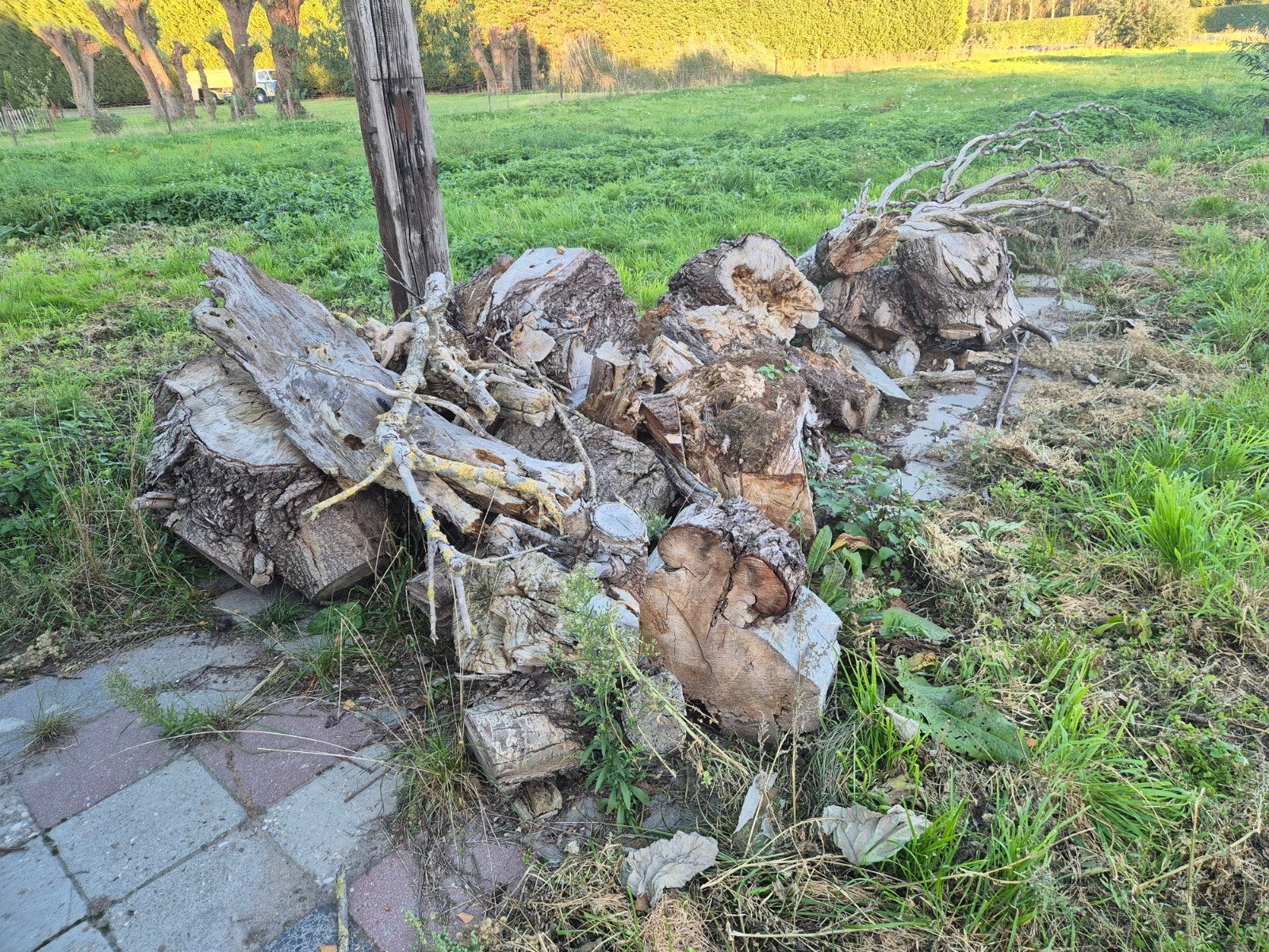 1m³ Wilgen Stookhout, Minder dan 3 m³, Ophalen, Overige houtsoorten, Blokken