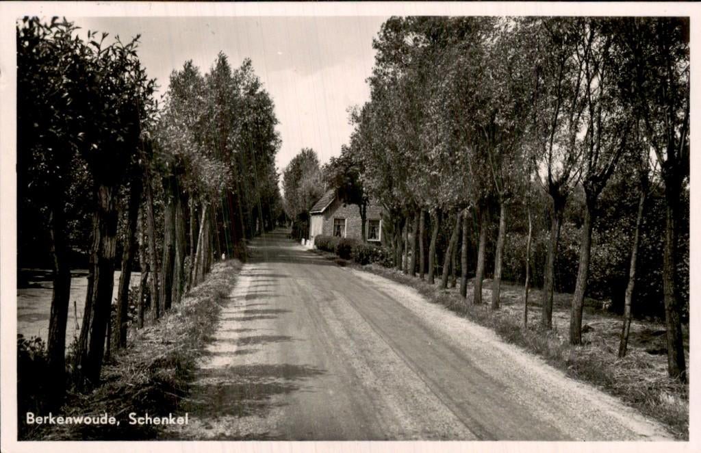 Berkenwoude - Weg - Schenkel, Ophalen of Verzenden, 1940 tot 1960, Gelopen, Zuid-Holland