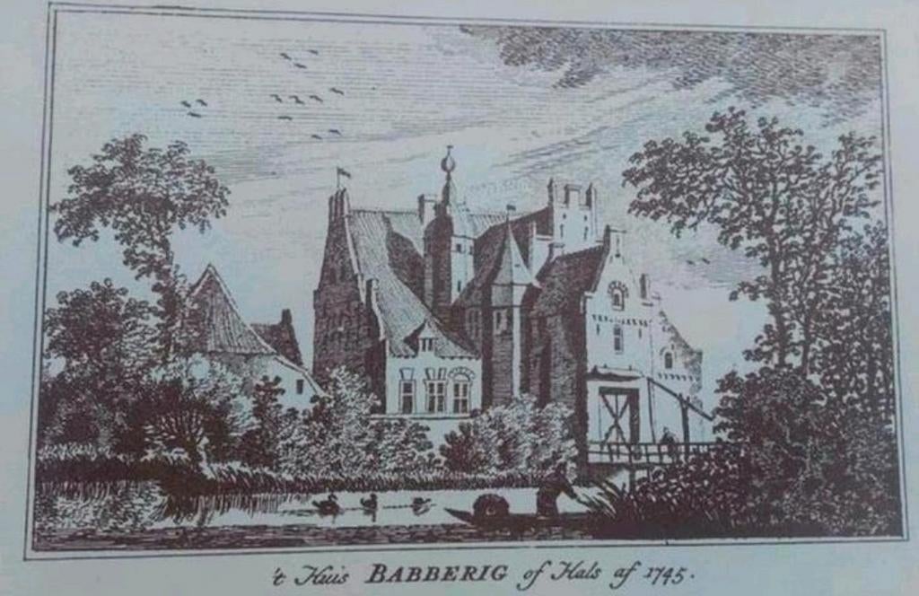 't Huis Babberig van Hals af ..1745 .. Paulus van Liender .., Antiek en Kunst, Kunst | Etsen en Gravures, Ophalen of Verzenden