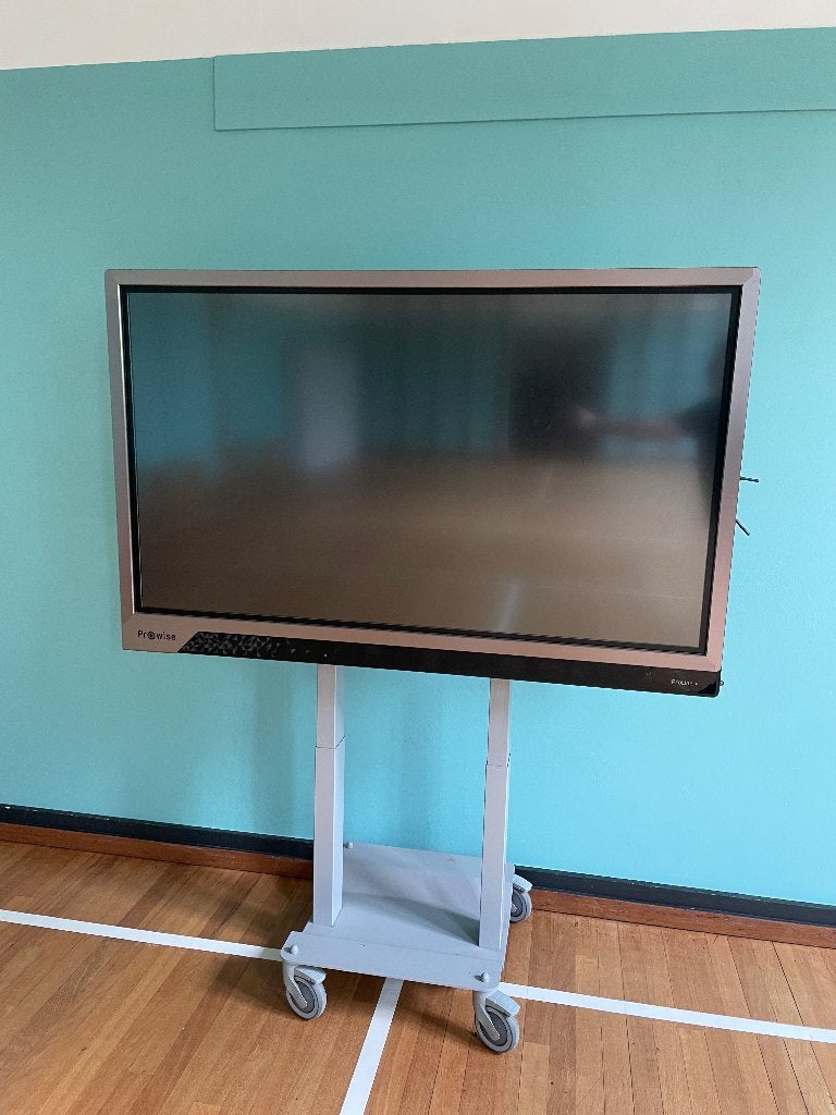 Prowise verrijdbaar digibord 65” Ultra HD, Ophalen, Mobiel, Gebruikt, Digiboard
