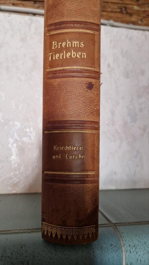 Een Animal Encyclopedie uit jaren 1892, Boeken, Encyclopedieën, Ophalen of Verzenden