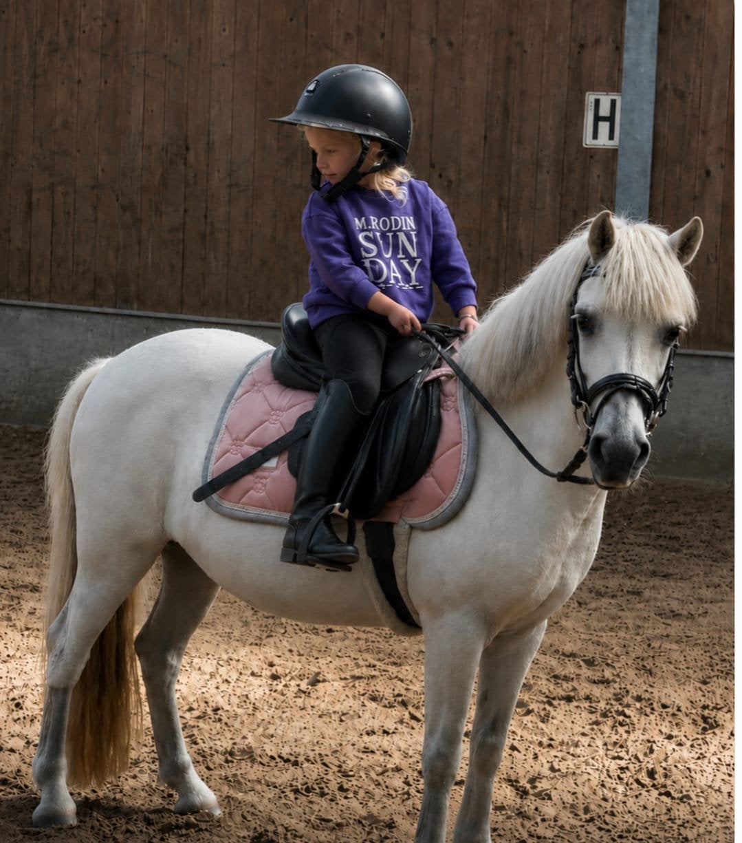 Super lieve ervaren A kinder bixie pony, Dieren en Toebehoren, Pony's, Merrie, A pony (tot 1.17m), 11 jaar of ouder, Recreatiepony