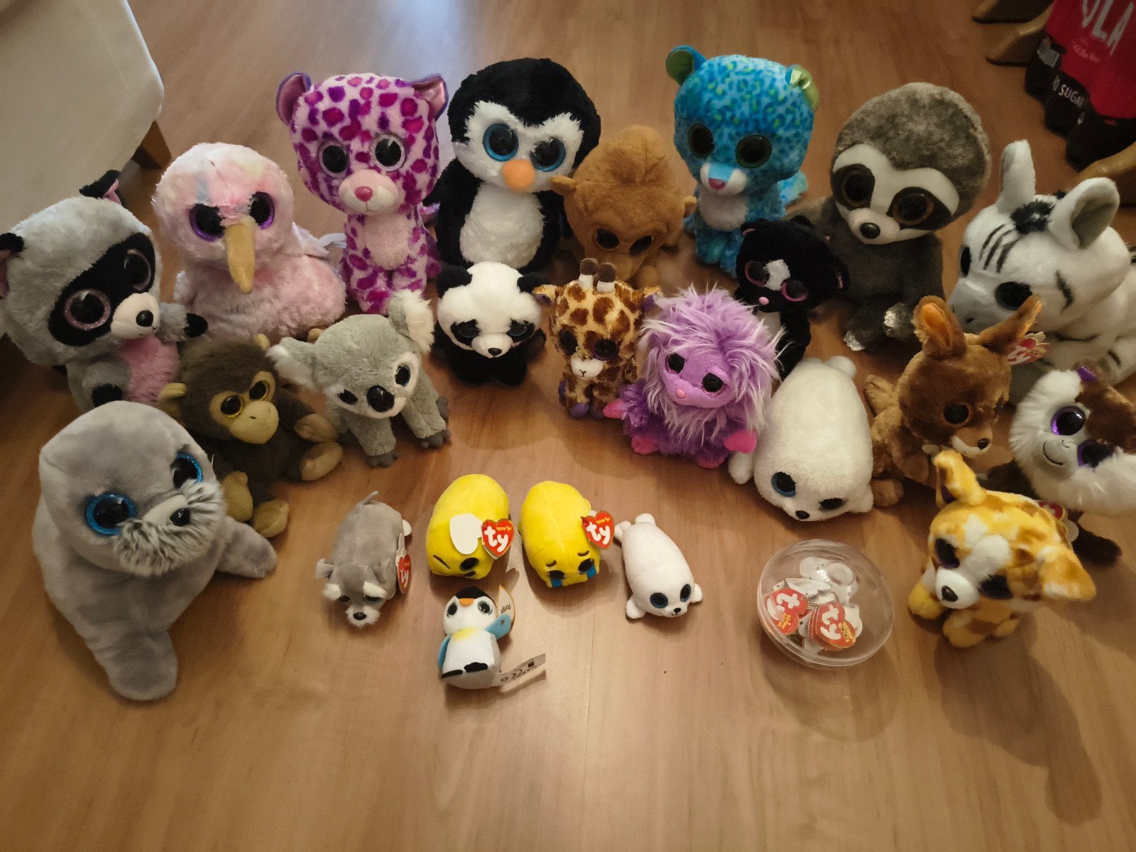 Grote collectie Ty Beanie Boo's knuffels - diverse dieren, Overige karakters, Ophalen of Verzenden, Klein (minder dan 20 cm), Beige
