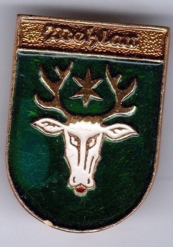 BROCHE WEHLAU KALININGRAD HERT STER (A6), Ophalen of Verzenden, Gebruikt, Overige onderwerpen