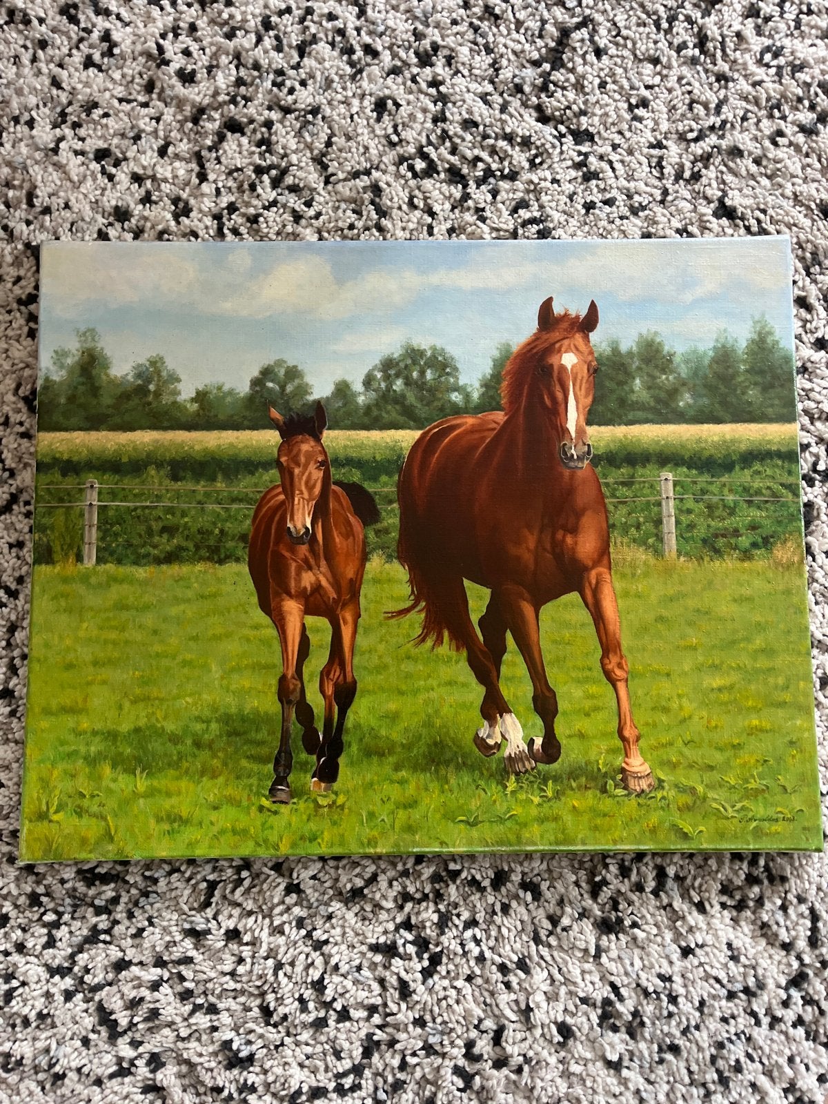 Schilderij paarden en veulen - Olieverf op doek, Antiek en Kunst, Kunst | Schilderijen | Klassiek, Doek, Realistisch, Dieren, Ophalen of Verzenden
