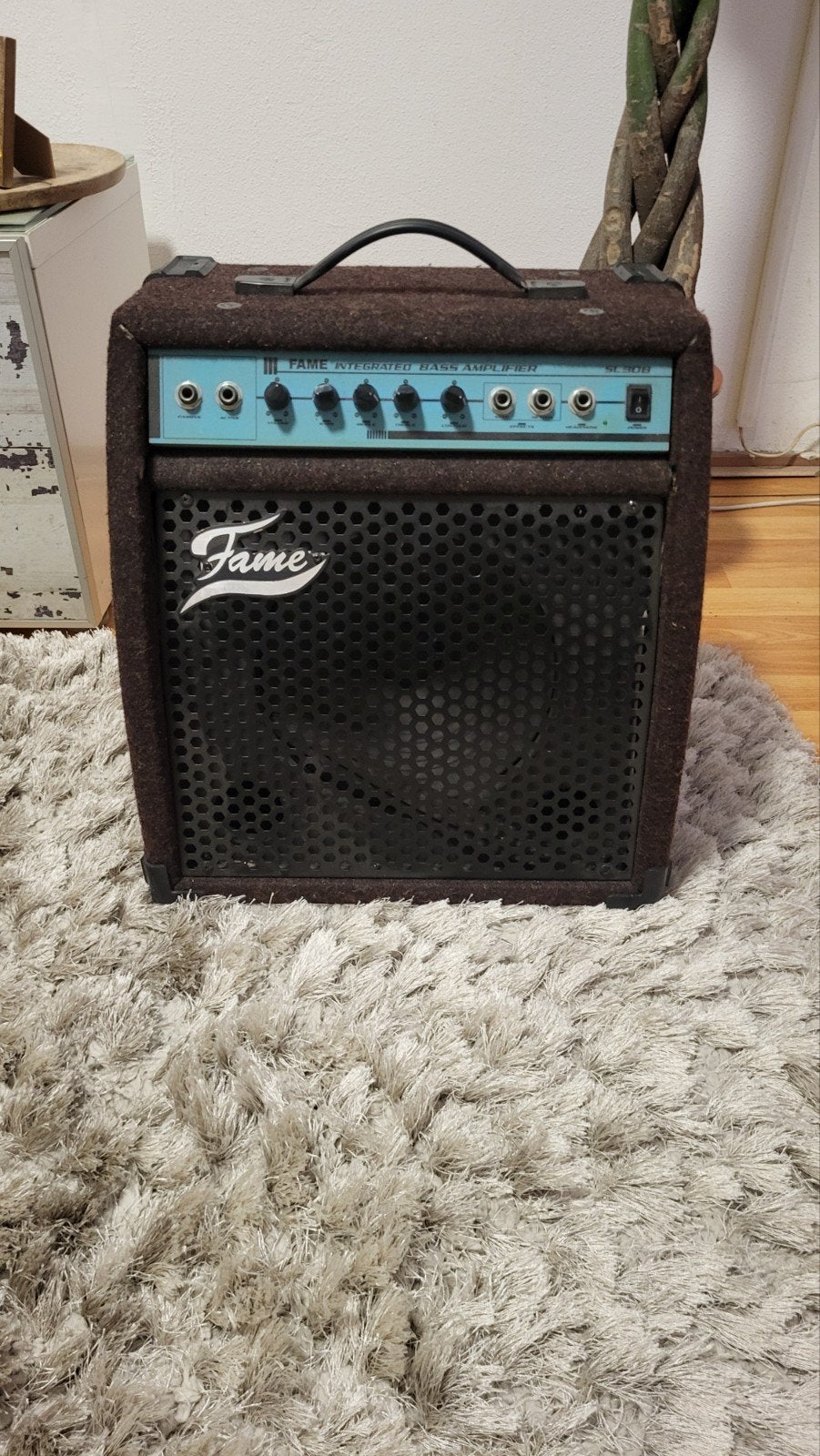 Fame SL-30B Basgitaar Versterker - 30W Combo, Muziek en Instrumenten, Versterkers | Bas en Gitaar, Ophalen of Verzenden, Gebruikt