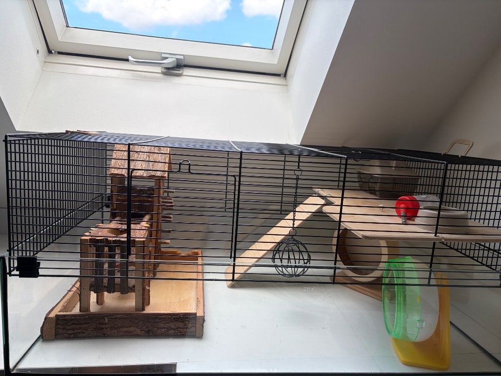 Hamsterkooi met toebehoren, Kooi, Zo goed als nieuw, Hamster, 75 tot 110 cm