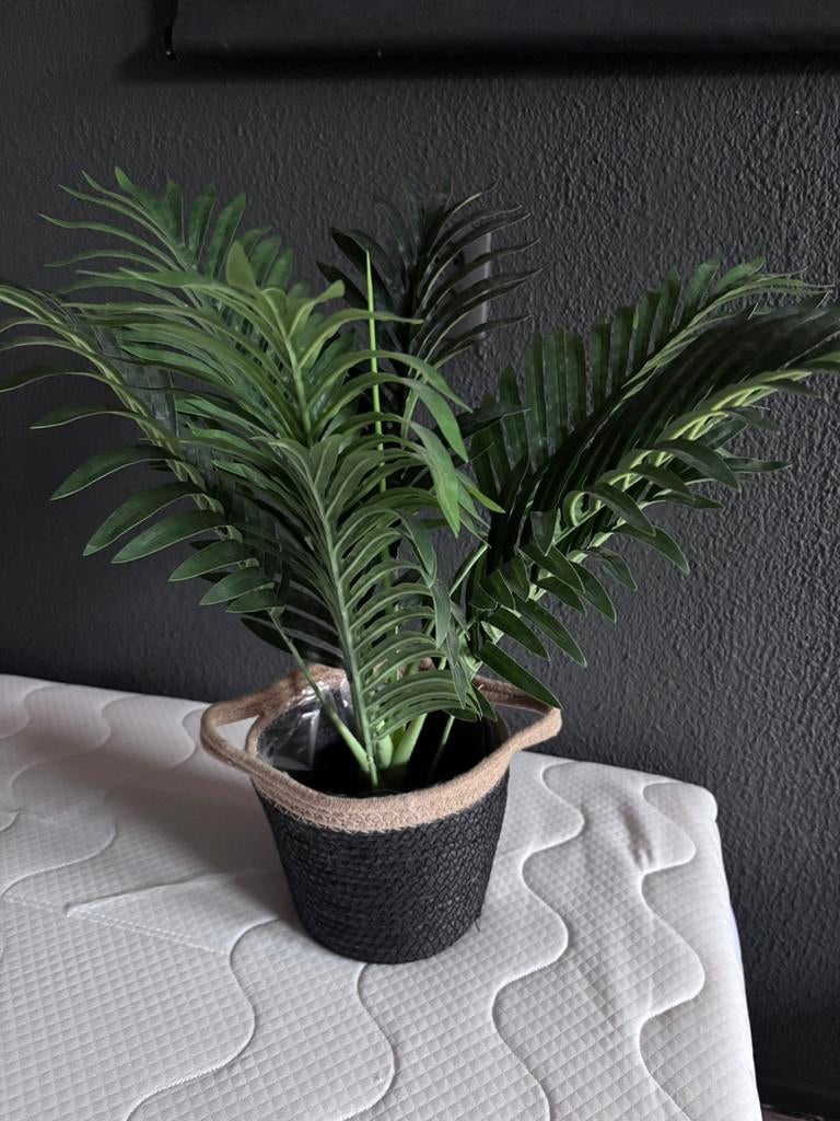 Kunstplant met extra rieten mand, Ophalen