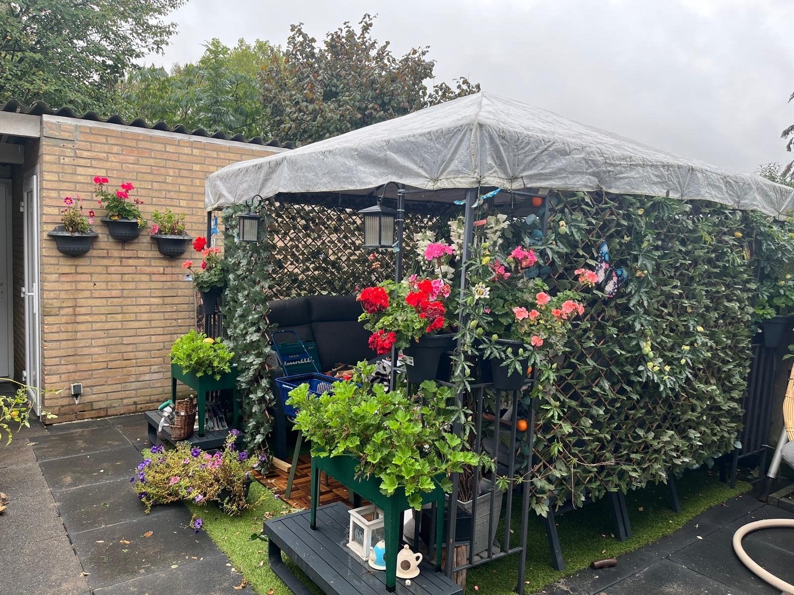 Gezellige tuinpaviljoen met klimop en bloemen, Tuin en Terras, Gebruikt, 4 tot 6 meter, Paviljoen, 5 tot 8 meter