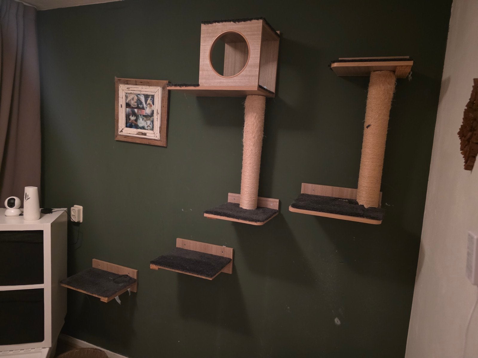 Kattenmuur, Dieren en Toebehoren, Ophalen, Gebruikt