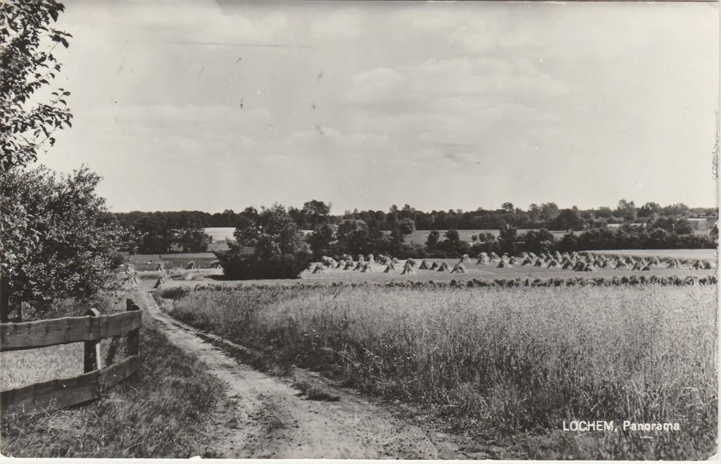 LOCHEM Panorama, Verzenden, 1960 tot 1980, Gelopen, Gelderland
