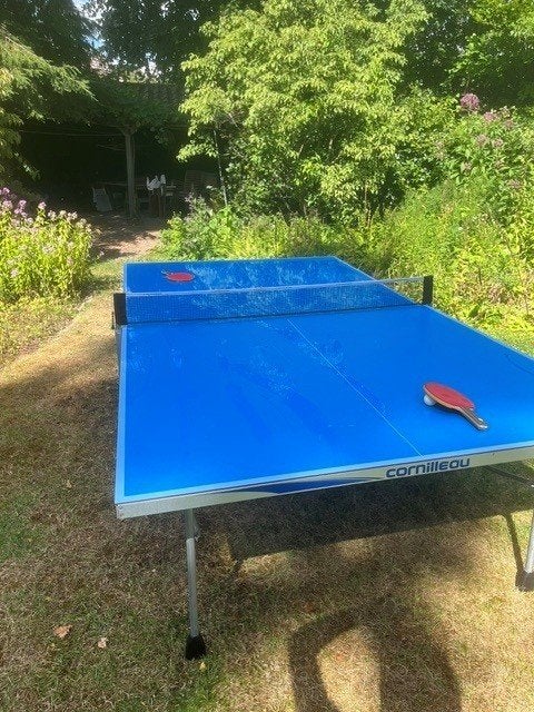 tafeltennistafel, Ophalen, Gebruikt, Tafel Outdoor, Verrijdbaar