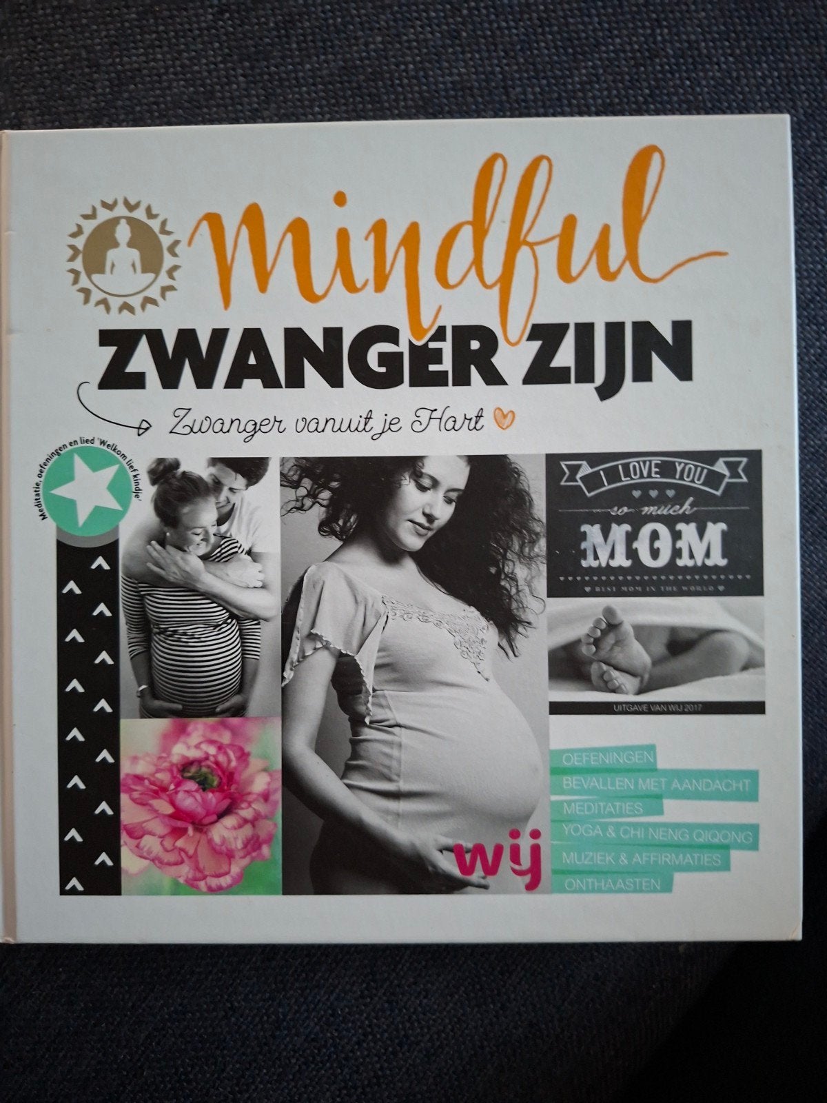 Anna van Amsterdam - Mindful zwanger zijn, Boeken, Zwangerschap en Bevalling, Zo goed als nieuw, Anna van Amsterdam; Yvon Tuinte-Zwanenburg